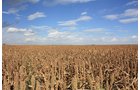 Property photo 59 - LAND AUCTION, 3255+/- Acres offered in 13 Tracts